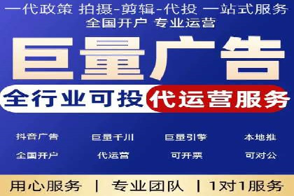 大型企业SEM外包实战案例